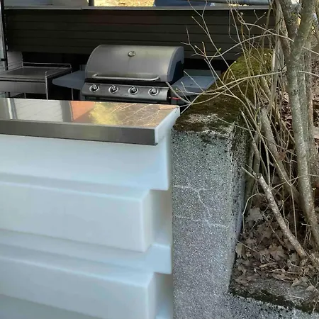 Suuri Talo Kaskisaaressa Laehellae Helsingin Keskustaa *