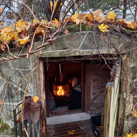 Suuri Talo Kaskisaaressa Laehellae Helsingin Keskustaa Villa Helsinki